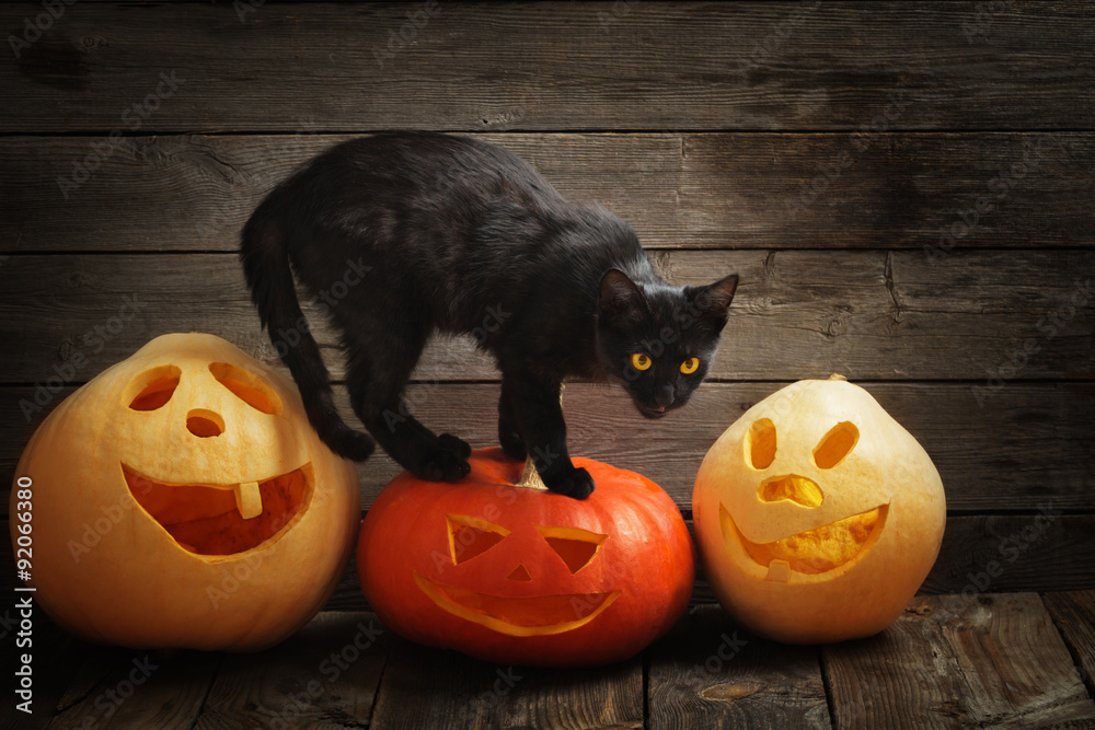 Wall mural Halloween pumpkin and black cat on wooden background