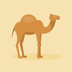 Arabian camel. Vector Illustration