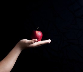 Jabłko na dłoni