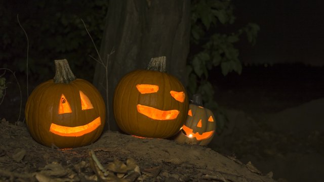 scary halloween pumpkins in the forest, night time

