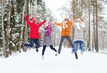group of smiling men and women in winter forest