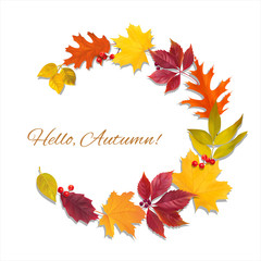 Background with autumn leaves and berries. Vector illustration.