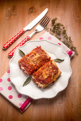 Italian lasagne