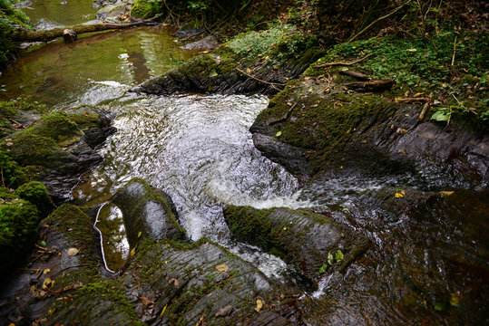 wild stream Brodenbach next to Mosel River