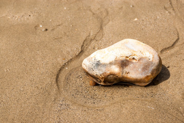 Fototapeta na wymiar Isolated large pebble in the sand 