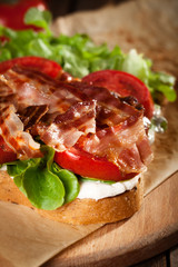 BLT Sandwich  - selective focus