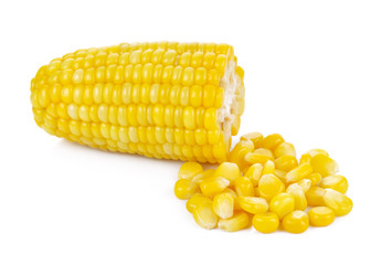 Corn on the cob kernels isolated Clipping Path