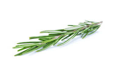 Fototapeta premium rosemary on a white background