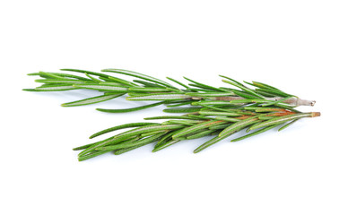 rosemary on a white background