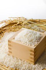 お米イメージ　Japanese rice image