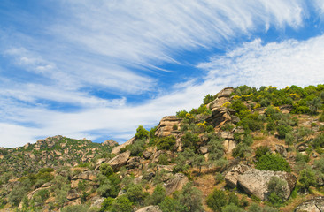big boulders and trees on side of mountain