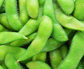 Green soybeans © ohmphongsakon