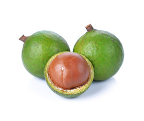 macadamia nuts on white background