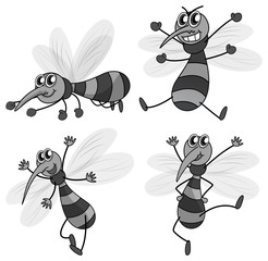 Mosquito in four different poses