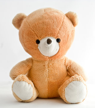 teddy bear on a white background