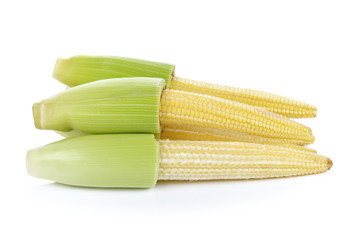 baby corn isolated on white background