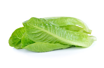 Lettuce Salad Isolated On White