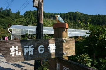 秩父札所巡りの看板