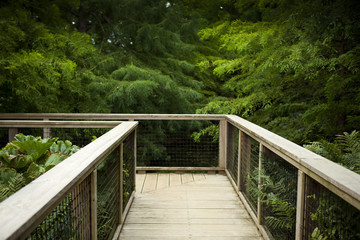Fototapeta na wymiar Wooden deck in a park