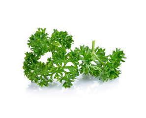 parsley isolated on white background