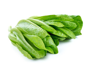 Cos Lettuce on White Background
