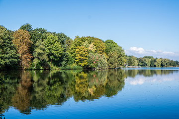 Fototapeta premium Schwanenteich Zwickau Spiegelung