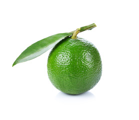 Limes with isolated on white background
