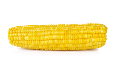 Corn on the cob kernels isolated Clipping Path