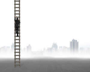 Rear view of businessman climbing on wooden ladder © TSUNG-LIN WU