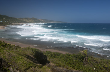 Barbados Island, Caribbean sea