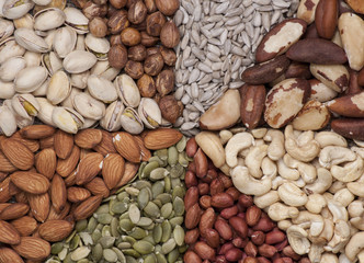 Collection of nuts