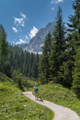 Fototapeta na wymiar Alpine trail Woman with dog is hiking in the Alps