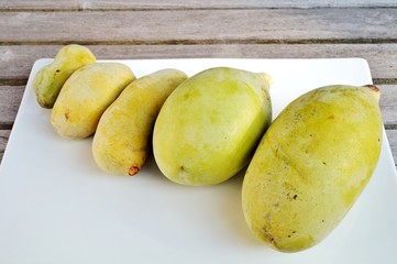 Fruit of the common pawpaw (asimina triloba), also called custard apple