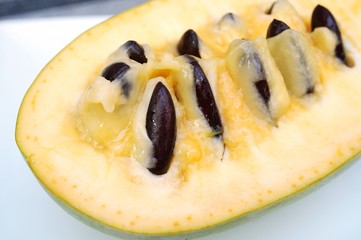 Flesh, pulp and seeds of the common pawpaw fruit (asimina triloba), also called custard apple