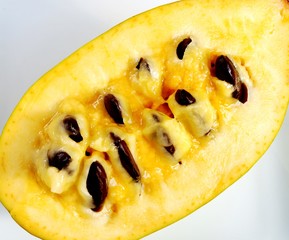 Flesh, pulp and seeds of the common pawpaw fruit (asimina triloba), also called custard apple