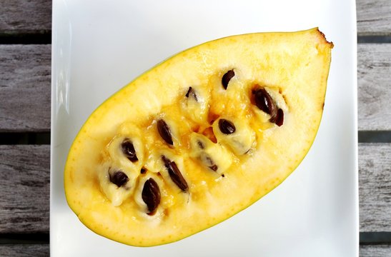 Fototapeta Flesh, pulp and seeds of the common pawpaw fruit (asimina triloba), also called custard apple