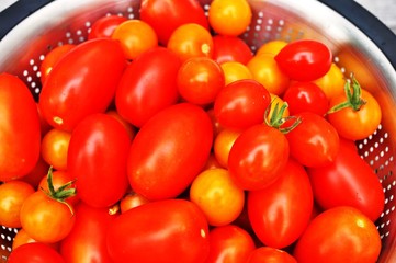 Freshly picked cherry and grape tomatoes in a colander