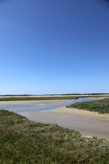 Fototapeta na wymiar Baie de la Somme: rivage.