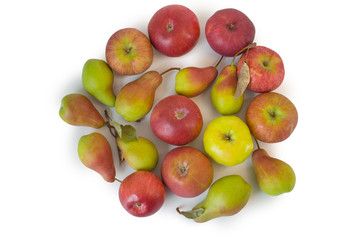 Circle of Apples and pears isolated on white
