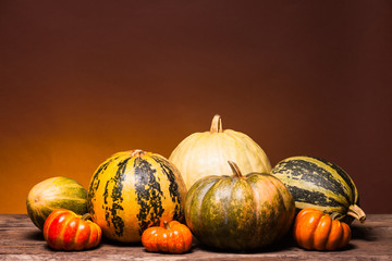 Autumn still life with pumpkin