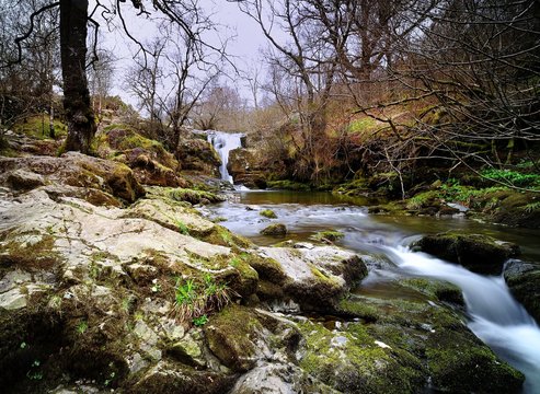Spring at High Force