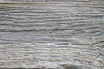 Close up texture of wood.