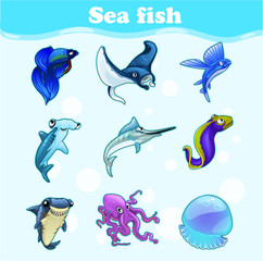 Colorful set of marine animals 