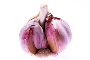 single bulb of garlic isolated on white background - macro
