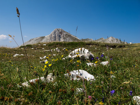 MONTE CAMICIA GRAN SASSO 