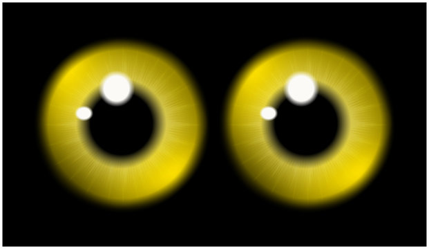 Image of  yellow pupil of the eye, eye ball, iris eye. Realistic vector illustration isolated on black background.
