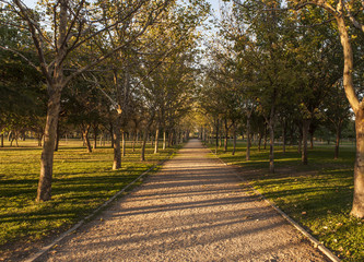 Beautiful sunset at the Tierno Galvan Park in Madrid.