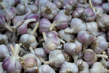 garlic