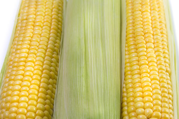 corn.
