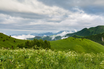 Fototapeta premium Clouds over the mountains.